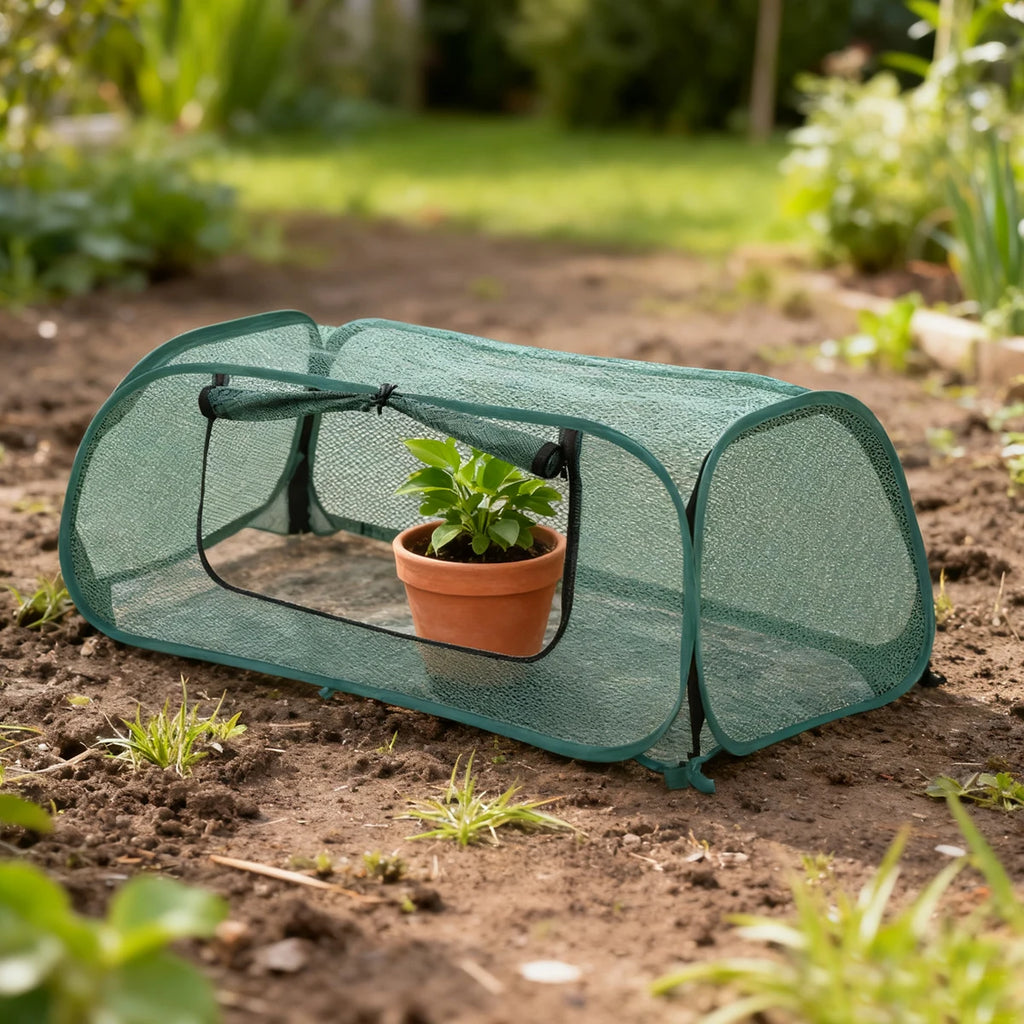 Greenhouse Plastic Outdoor Garden Greenhouses Plants Winter Seedlings Exterior Houses Growbox Green Home Interior Small Planting