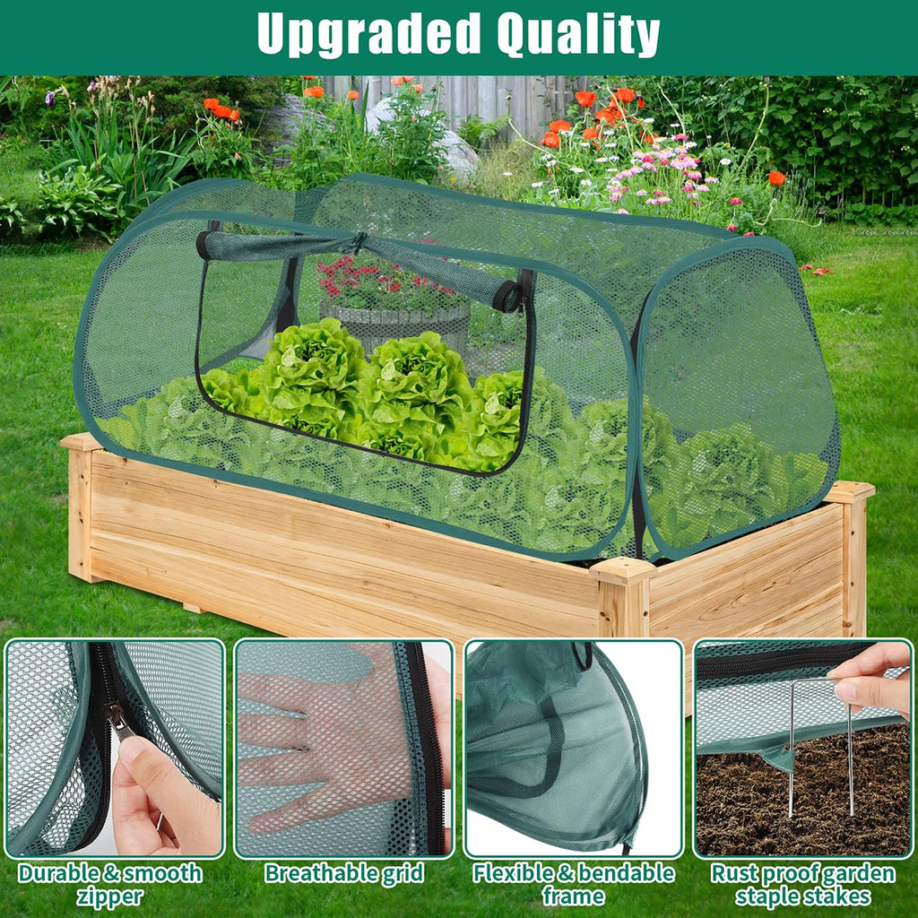 Greenhouse Plastic Outdoor Garden Greenhouses Plants Winter Seedlings Exterior Houses Growbox Green Home Interior Small Planting