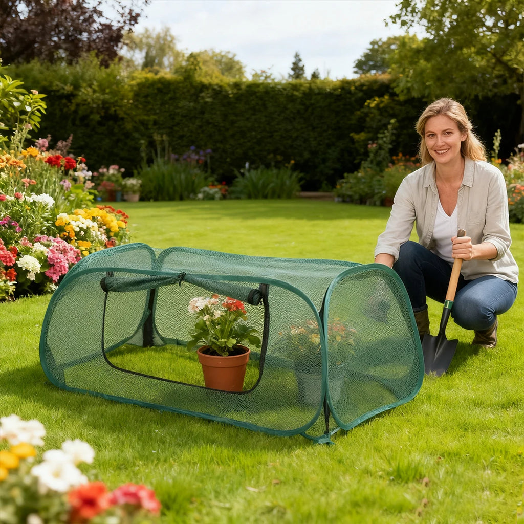 Greenhouse Plastic Outdoor Garden Greenhouses Plants Winter Seedlings Exterior Houses Growbox Green Home Interior Small Planting